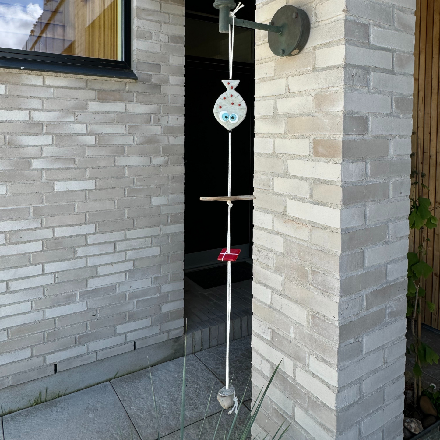 Flagranke - Elfenbensfarvet rødspætte.