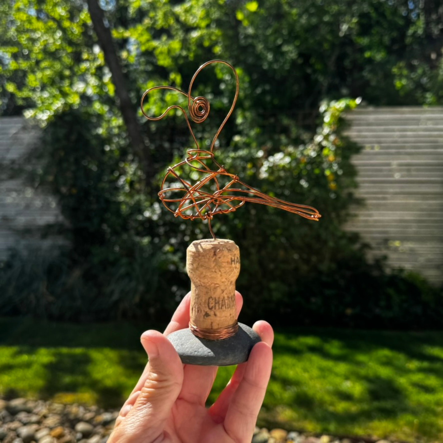 Jacobs KrøllerierKobbermåge på Champagneprop.