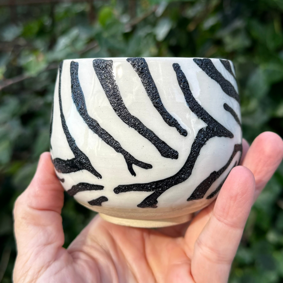 Zebra kop 1