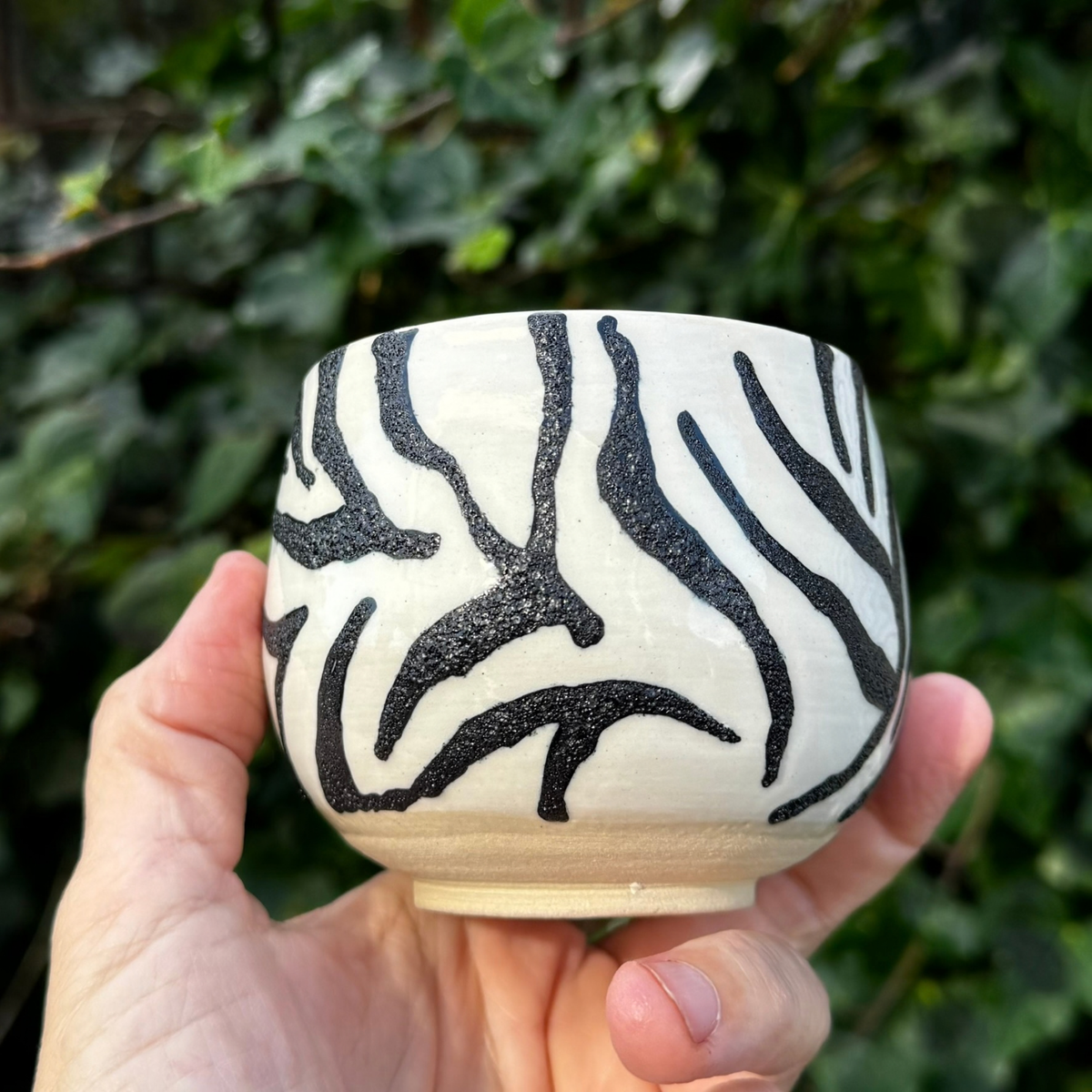Zebra kop 1