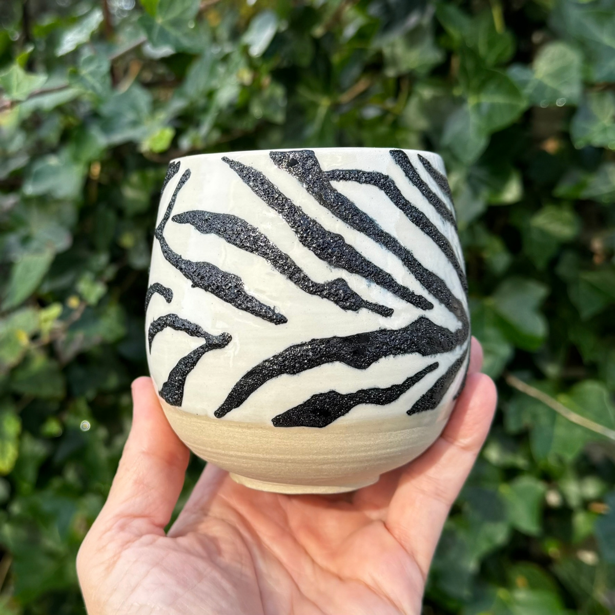 Zebra kop 3